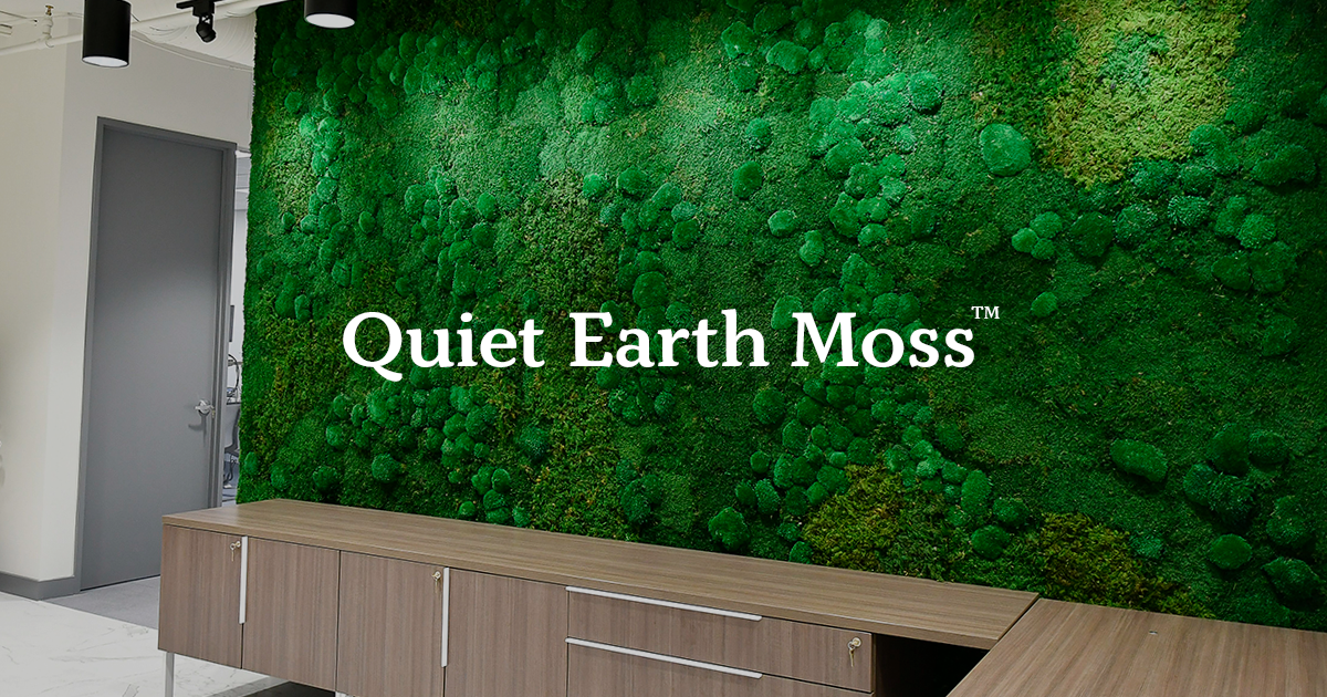 Quiet Earth Moss by 12 Creative Edmonton Marketing Agency